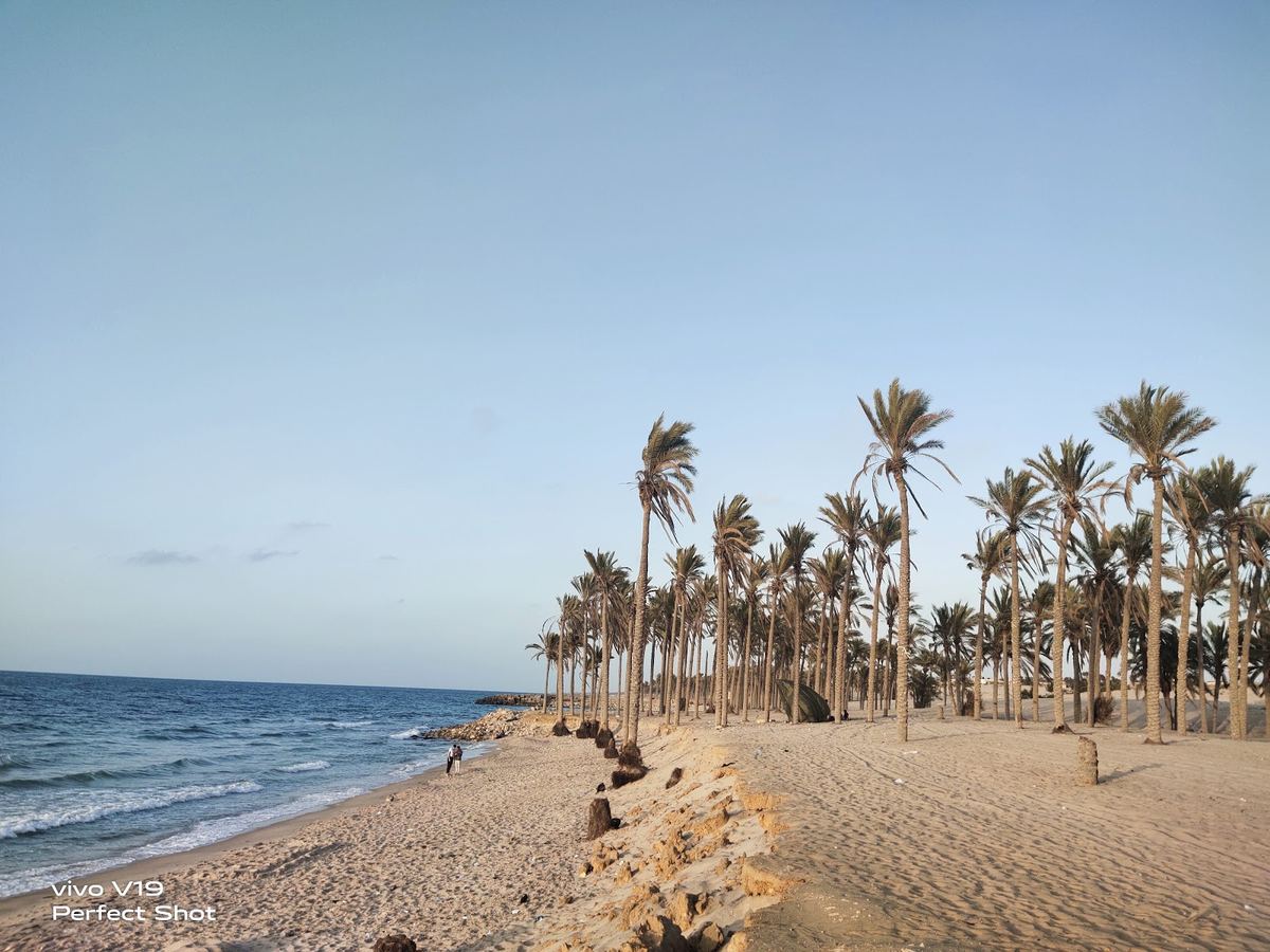 El Arish