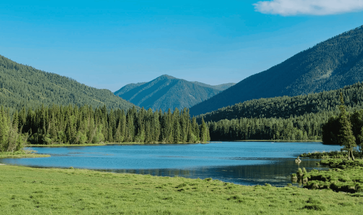 Altay
