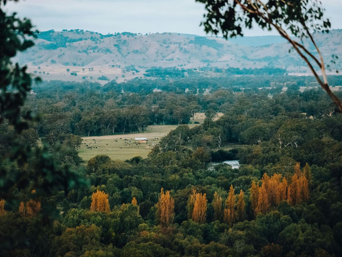 East Albury