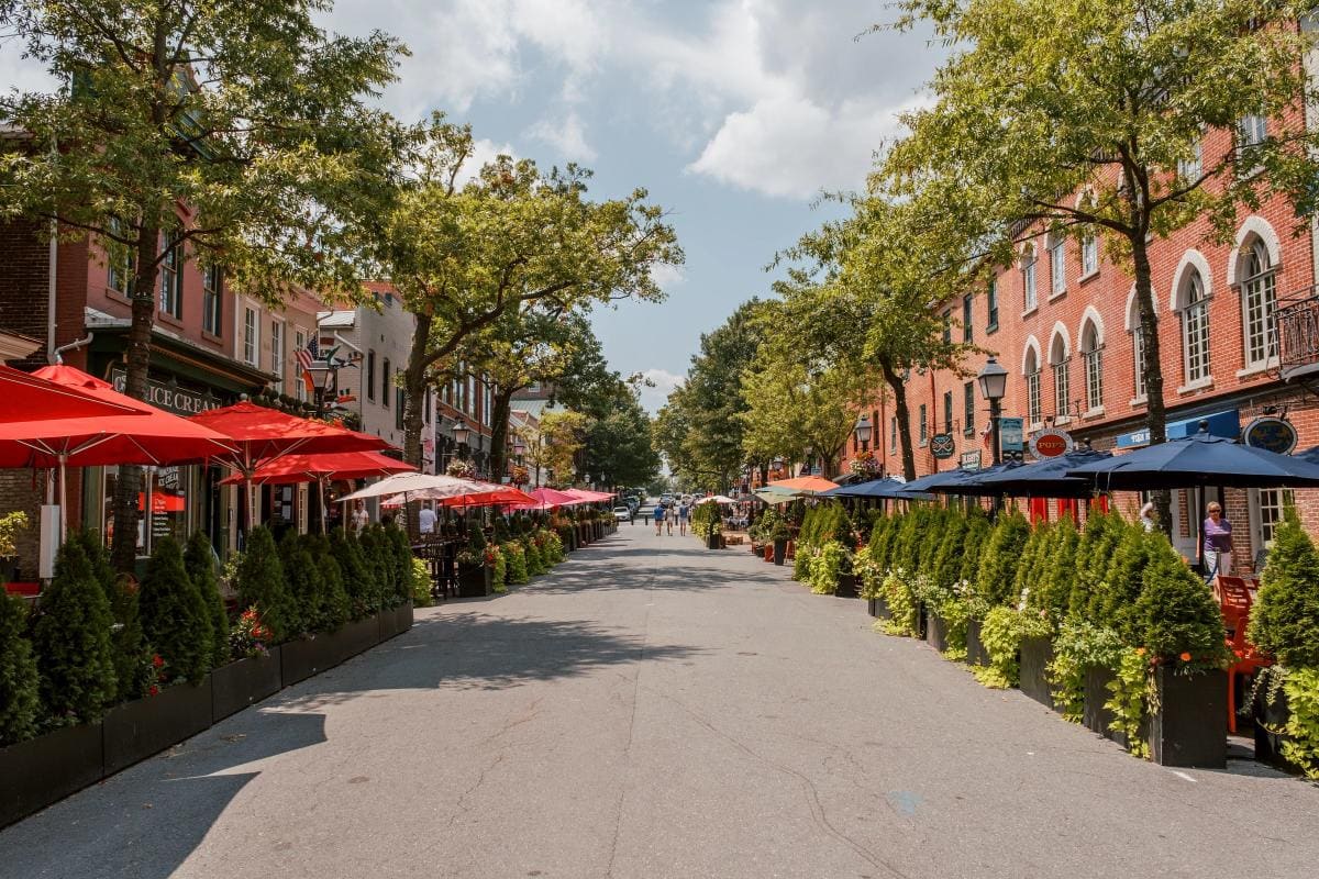 Alexandria