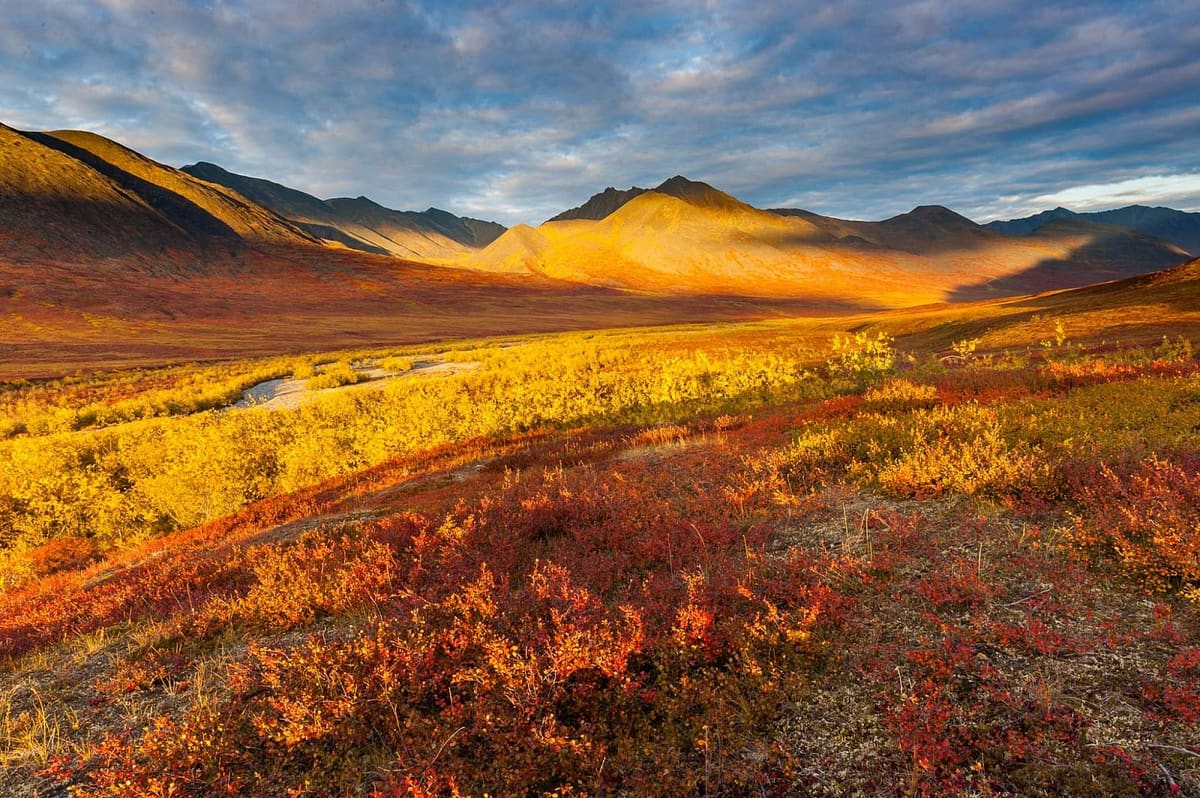 Anaktuvuk Pass