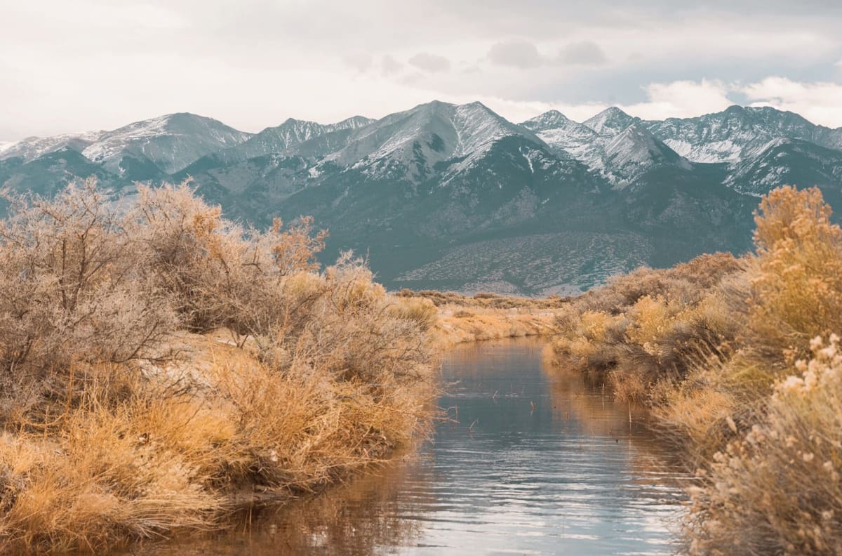 Alamosa