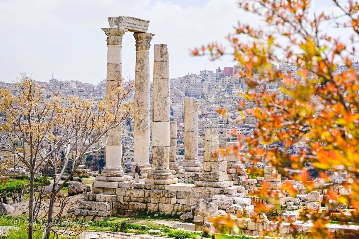 Amman