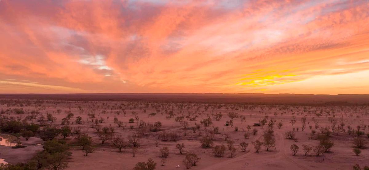 Barcaldine