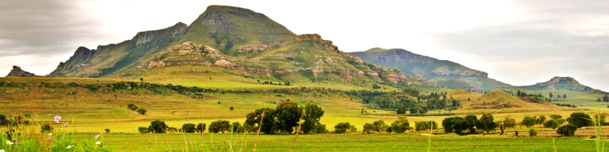 Bloemfontein
