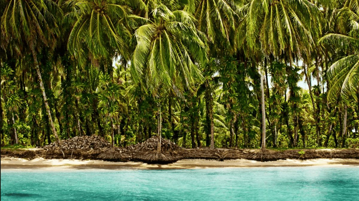 Bocas del Toro