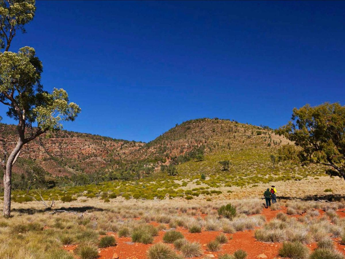 Bourke