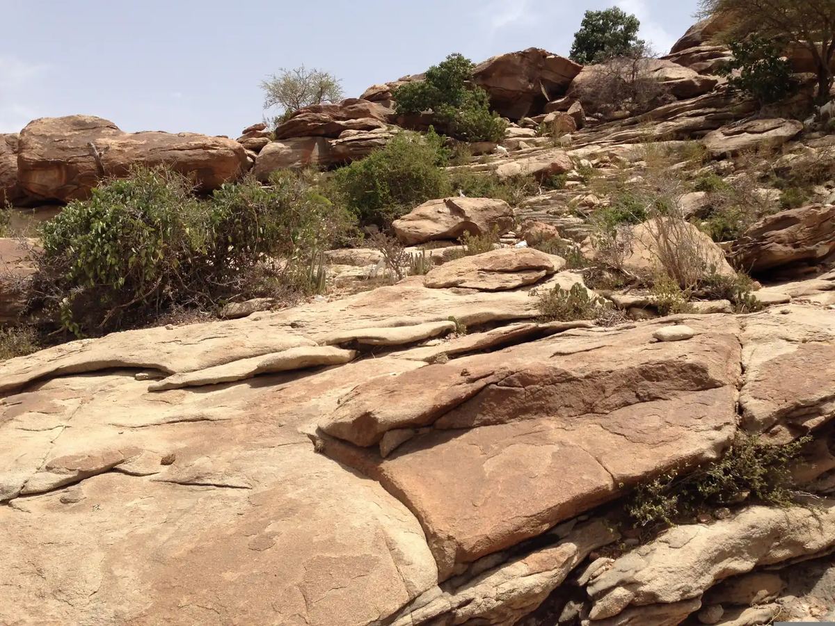 Bosaso
