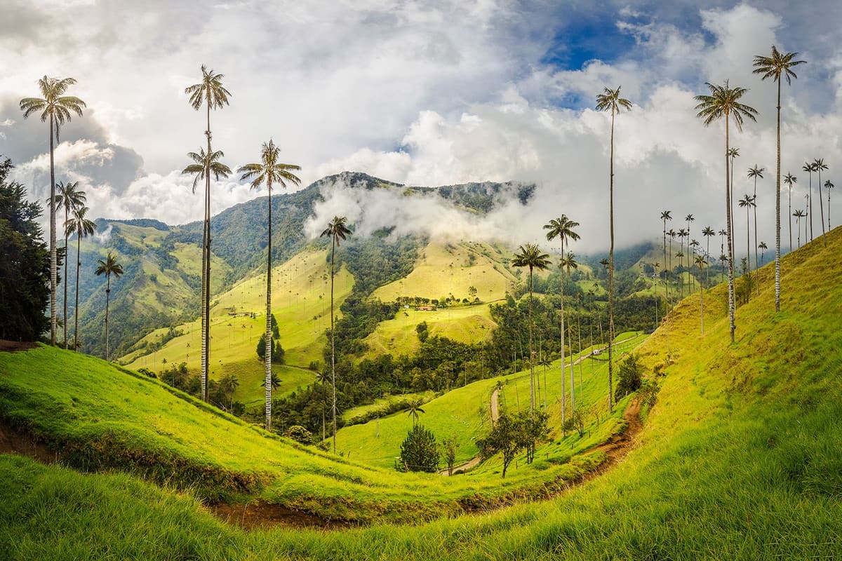 Buenaventura