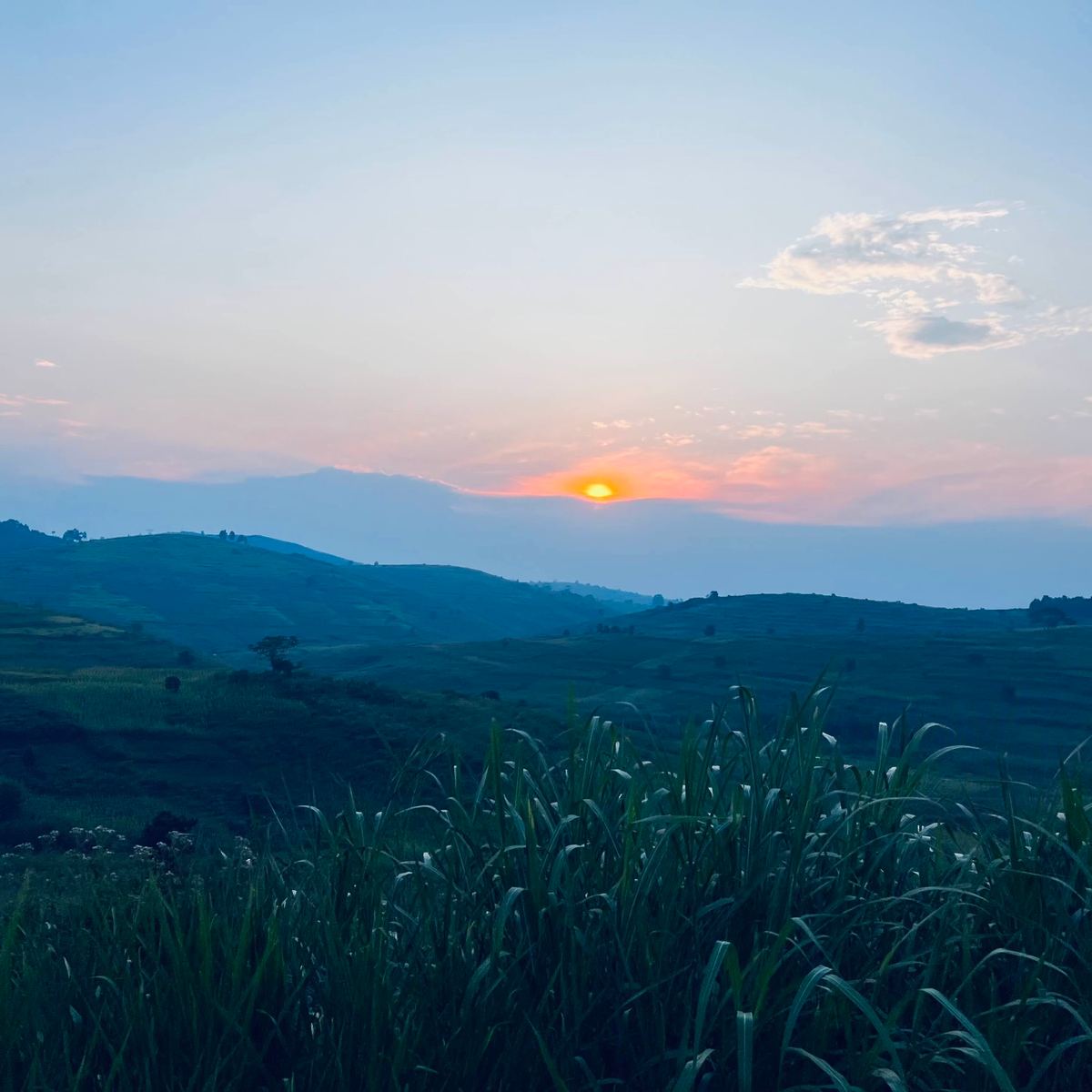 Bunia