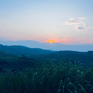 Bunia