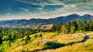 Bozeman