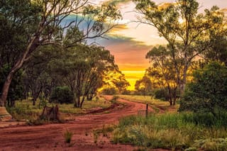 Cobar