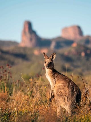 Coonamble