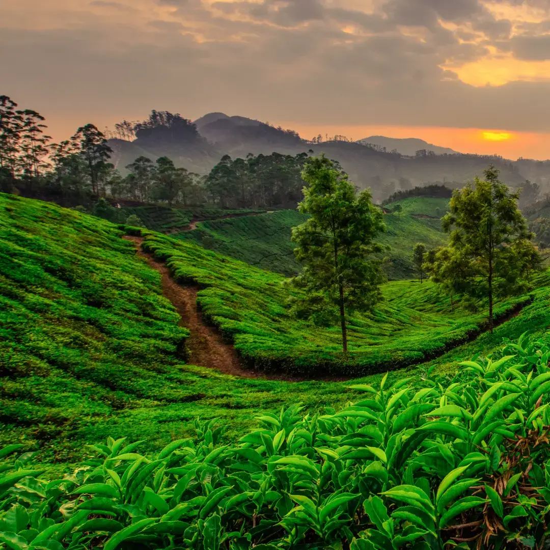 Kerala