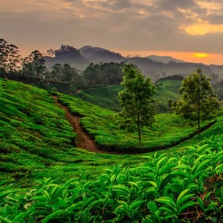Kerala