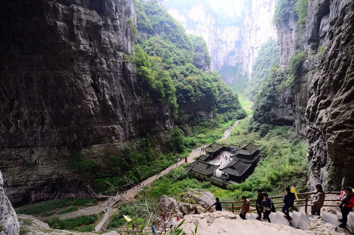 Wulong