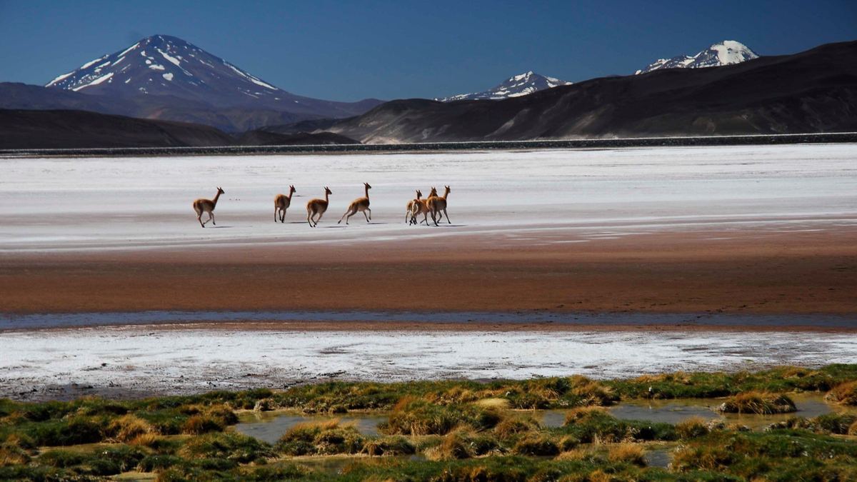 Catamarca