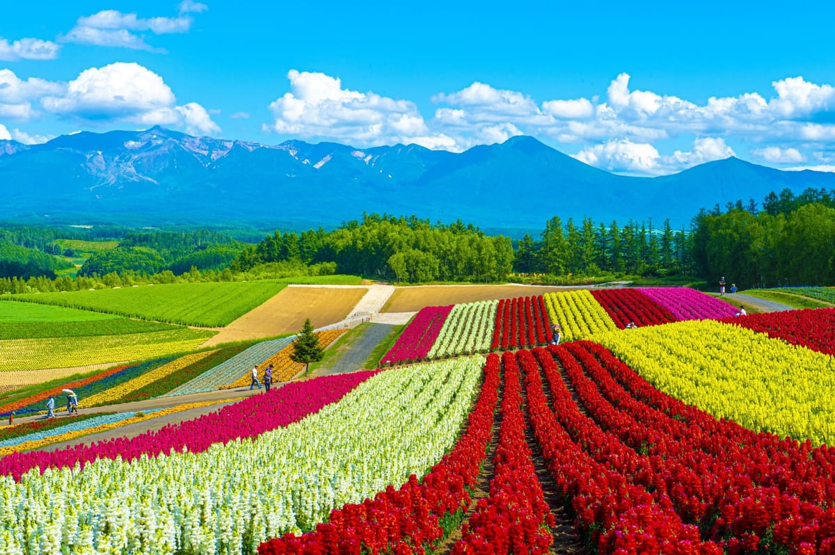 Sapporo