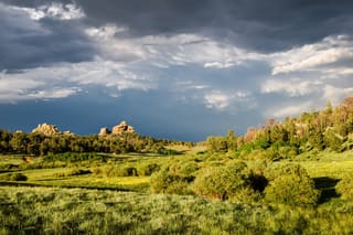 Cheyenne