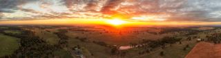 Dubbo