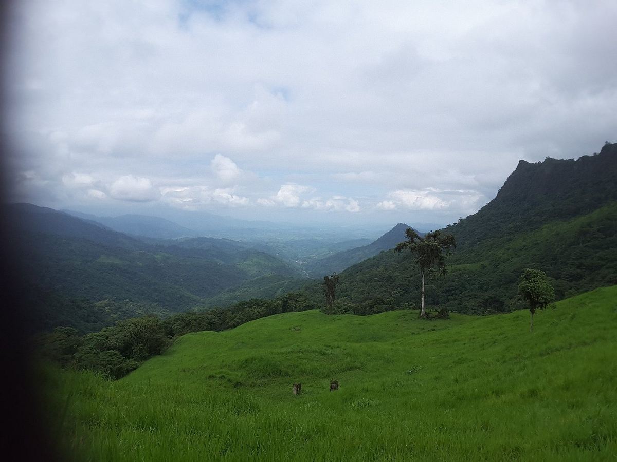 Santa Rosa
