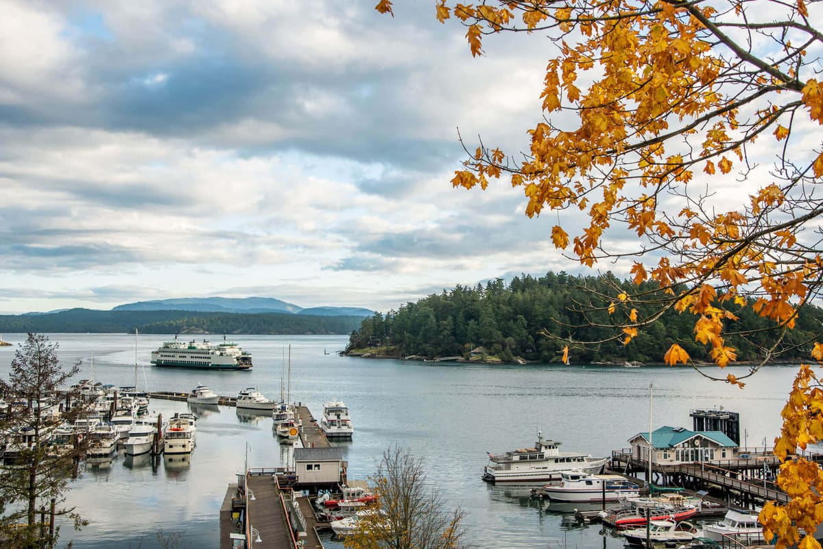 Friday Harbor