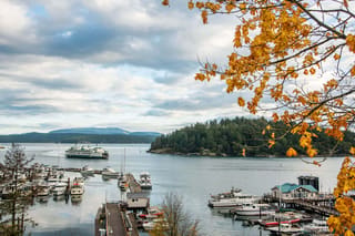 Friday Harbor
