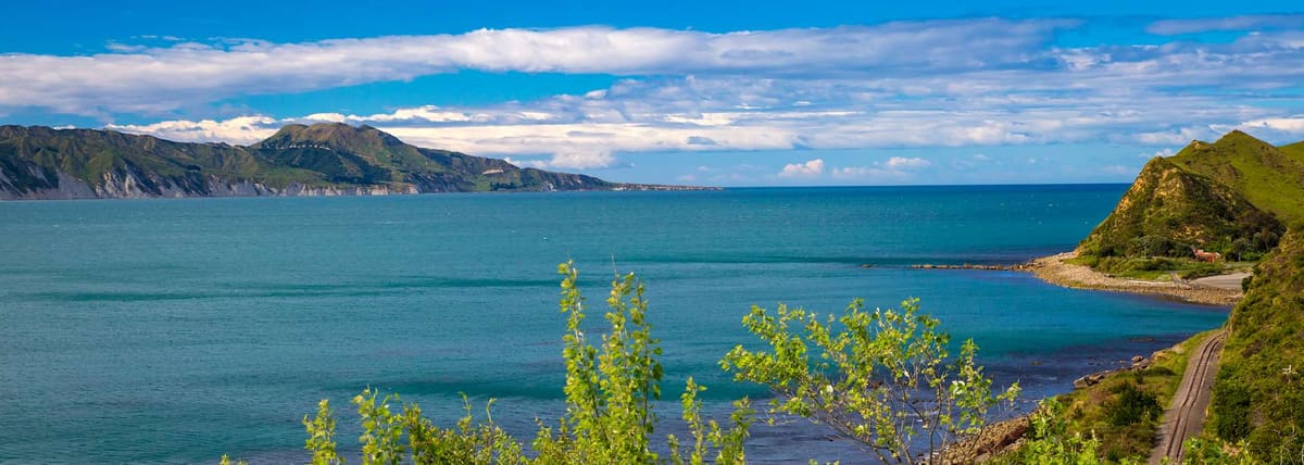 Gisborne