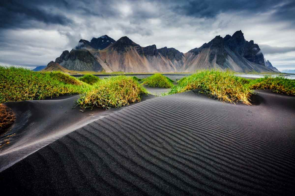 Höfn