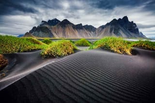 Höfn
