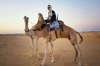 Hassi Messaoud