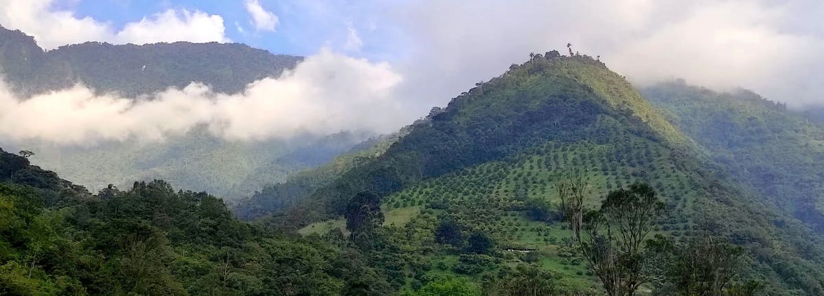 Ibagué