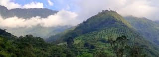 Ibagué