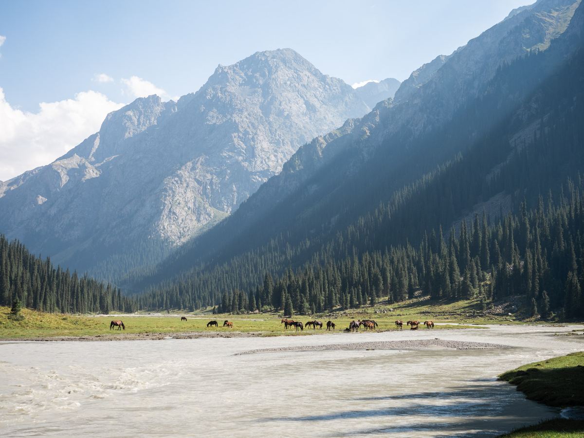 Karakol
