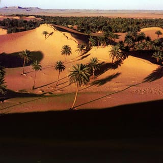 In Salah