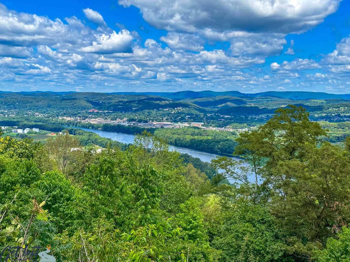 Williamsport