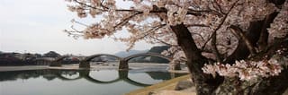 Iwakuni