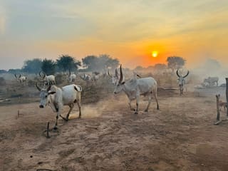 South Sudan