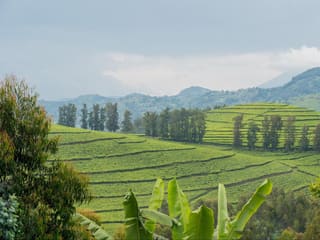 Rwanda