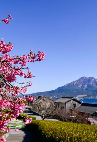 Kagoshima