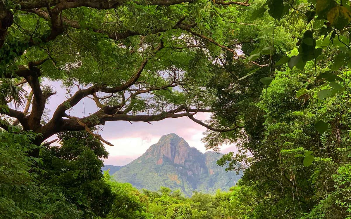 Yakushima