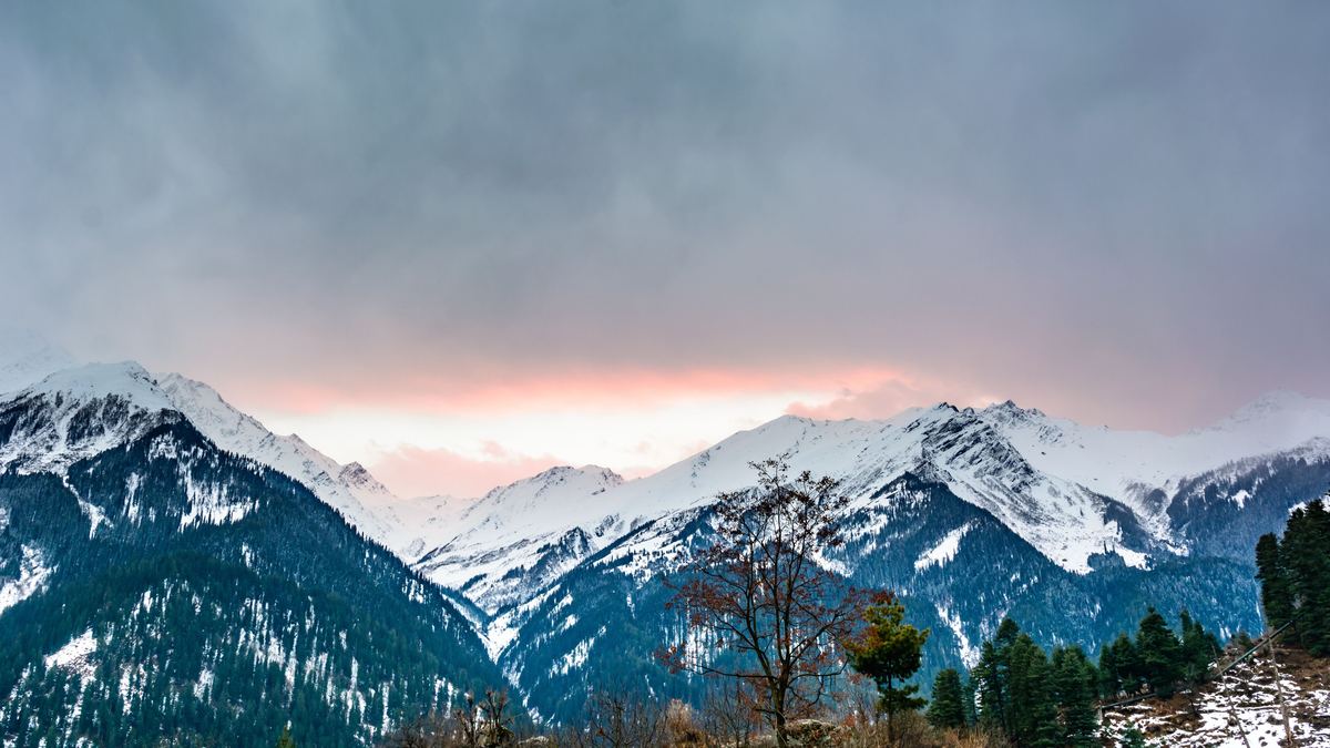 Bhuntar