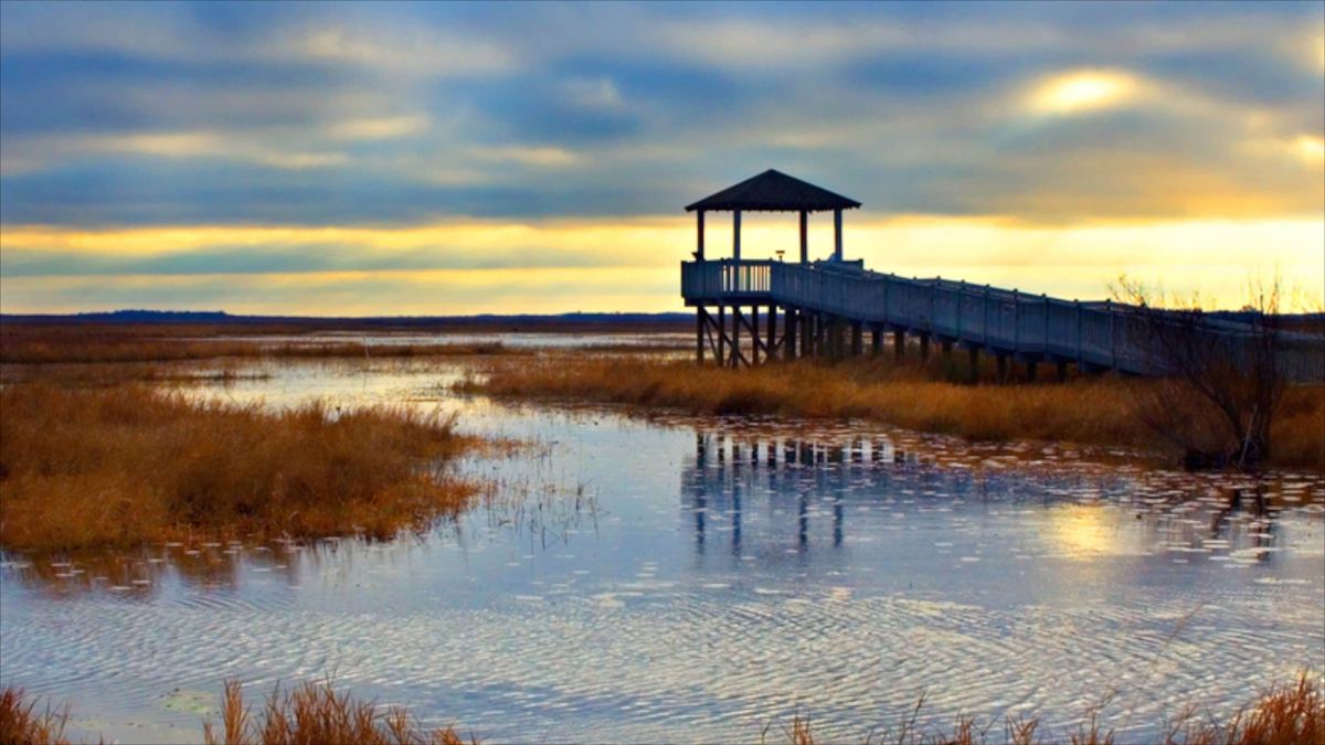 Lake Charles
