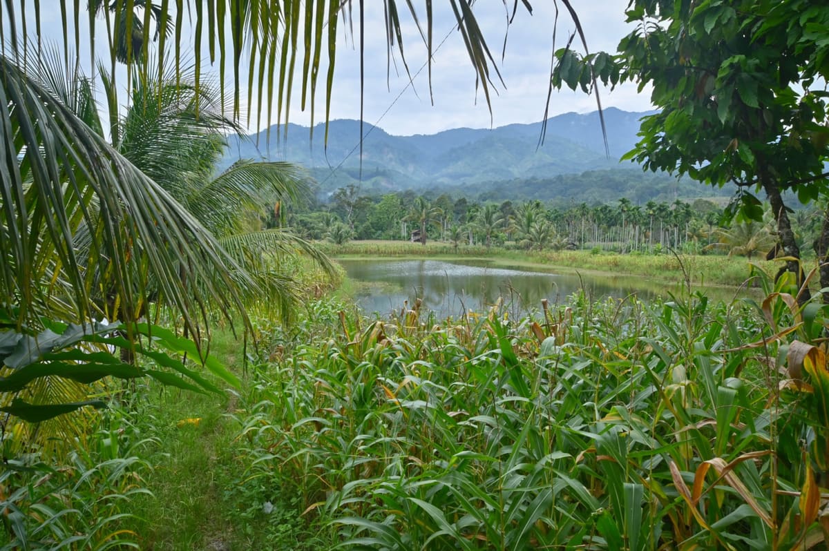 Kutacane