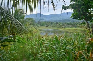 Kutacane