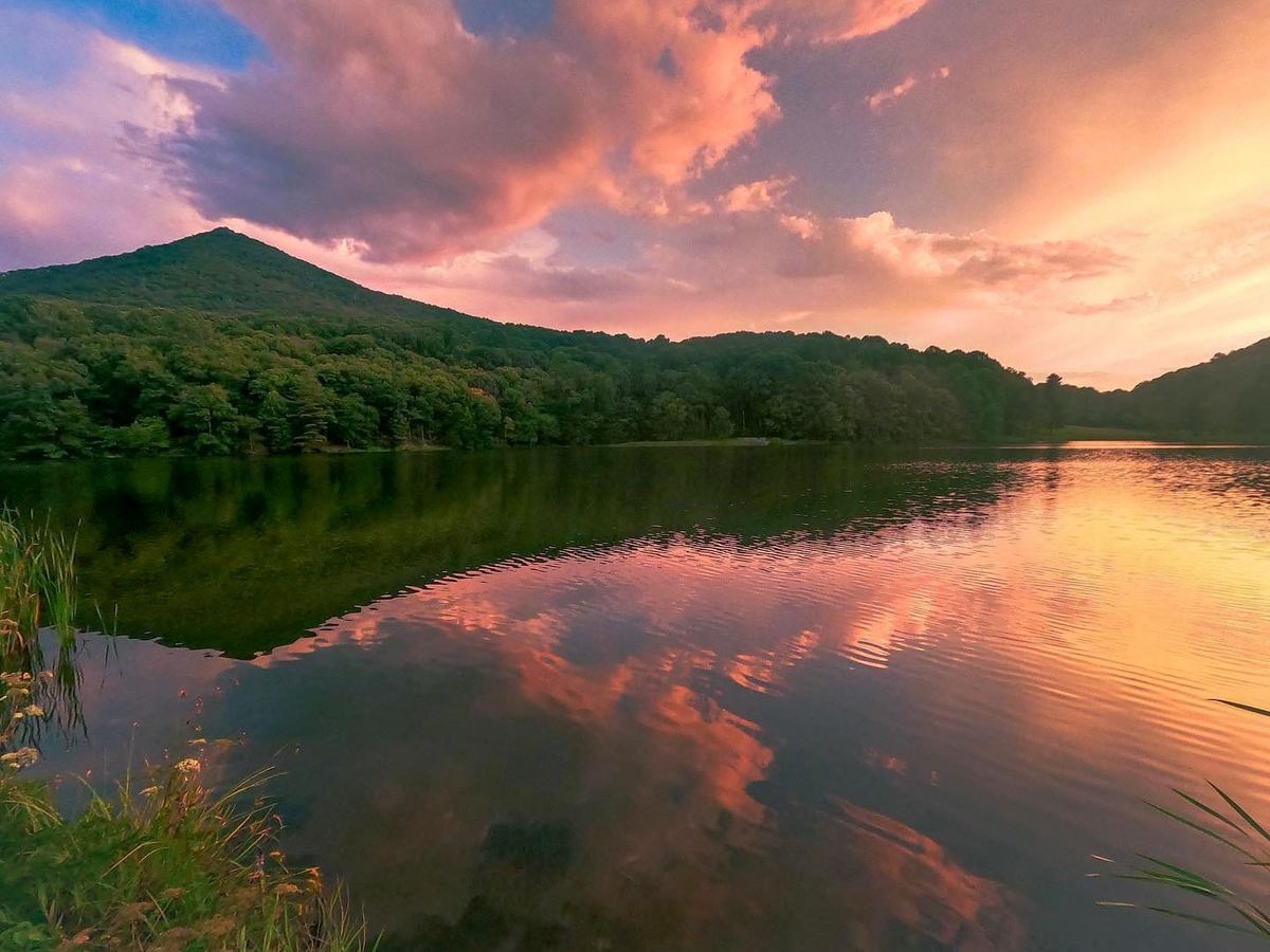Lynchburg