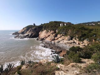 Matsu (Nangan)