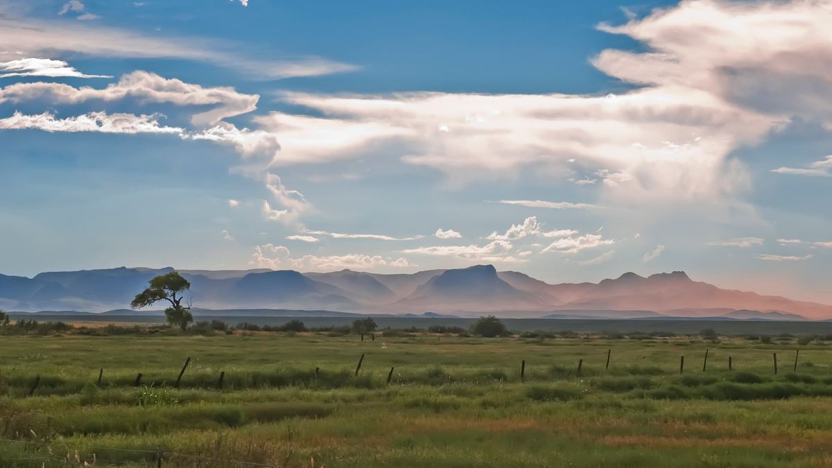 Midland