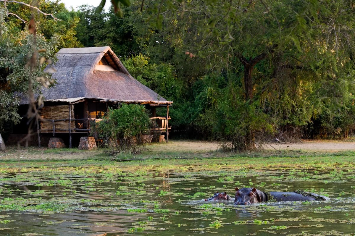 Mfuwe